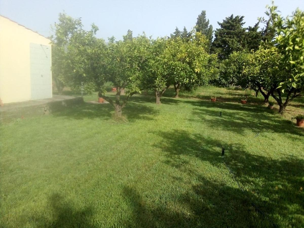 Appartamento In Orosei In Villa Delle Arance 300Mt Dalla Spiaggia Экстерьер фото